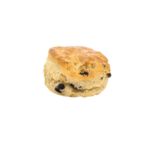 Raisin Scone / Chocolate / Blueberry Muffin